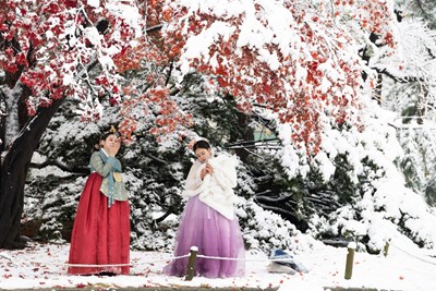 Tour Hàn Quốc NO SHOPPING: HCM - Seoul - Elysian Gangchon - Everland - Thư viện Starfiled 6N5Đ 