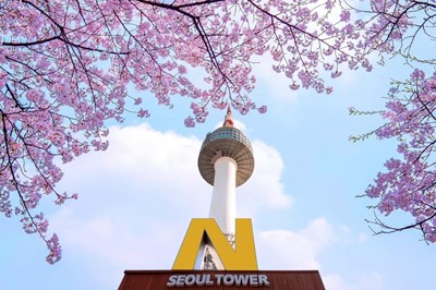 Tour Hàn Quốc NO SHOPPING Mùa Hoa Anh Đào: HCM - Seoul - Starfiled Suwon - Everland 6N5Đ 