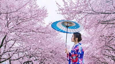 Tour Nhật Bản: Tokyo - Công viên ngắm Hoa Anh Đào Tokyo - Núi Phú Sĩ - Du thuyền hồ Yamanaka 6N5Đ