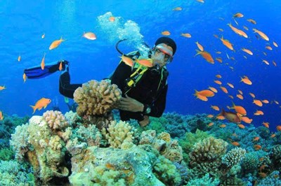 KHÁM PHÁ NAM ĐẢO PHÚ QUỐC – TOUR CÂU CÁ & LẶN NGẮM SAN HÔ 1 NGÀY