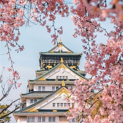  top 20 địa điểm du lịch Tokyo đẹp nhất mùa hoa anh đào