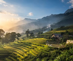 Sapa