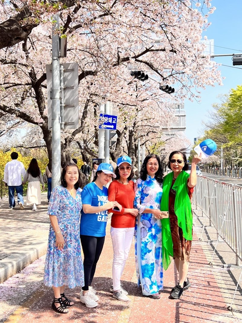 Tour Hàn Quốc Mùa Hoa Anh Đào: Seoul - Đảo Nami - Lotte World - Hanok Bukchon - Yeouido Park 6N5Đ