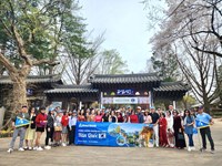Tour Hàn Quốc Mùa Hoa Anh Đào: Seoul - Đảo Nami - Lotte World - Hanok Bukchon - Yeouido Park 6N5Đ
