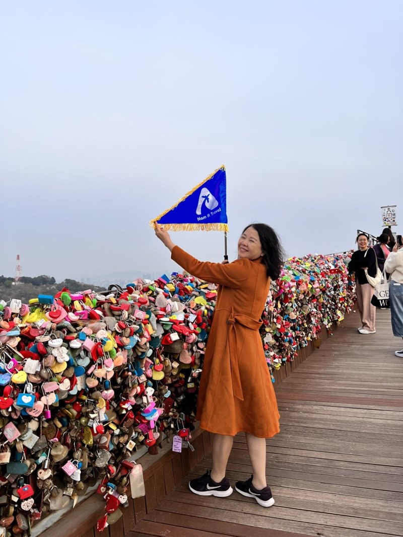 Tour Hàn Quốc Mùa Hoa Anh Đào: Seoul - Đảo Nami - Lotte World - Hanok Bukchon - Yeouido Park 6N5Đ