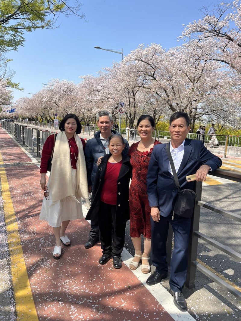 Tour Hàn Quốc Mùa Hoa Anh Đào: Seoul - Đảo Nami - Lotte World - Hanok Bukchon - Yeouido Park 6N5Đ