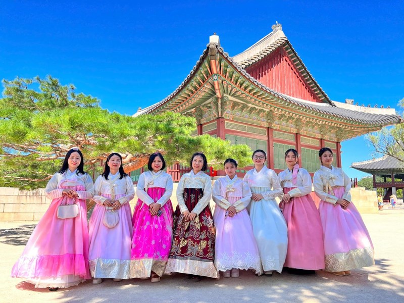 Tour Hàn Quốc Mùa Hoa Anh Đào: Seoul - Đảo Nami - Lotte World - Hanok Bukchon - Yeouido Park 6N5Đ